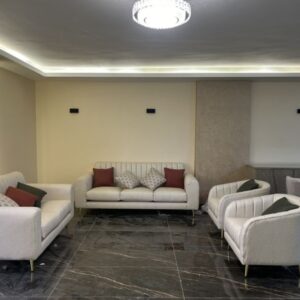 TF-SF-3 ( Premium Sofa Set )